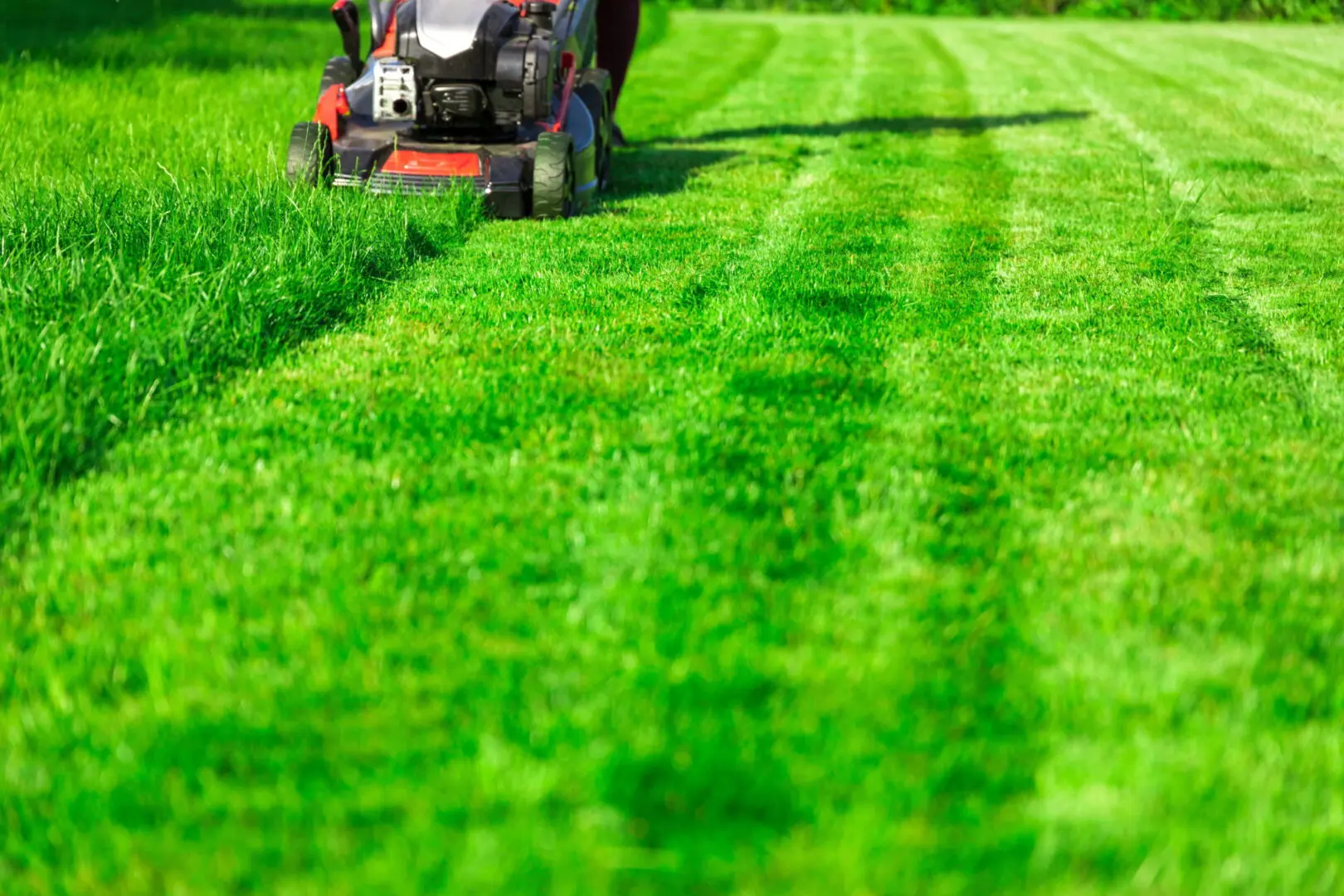 A red lawn mower cuts through tall grass, leaving a neat, striped pattern on a vibrant green lawn. The scene conveys a sense of care and tidiness.