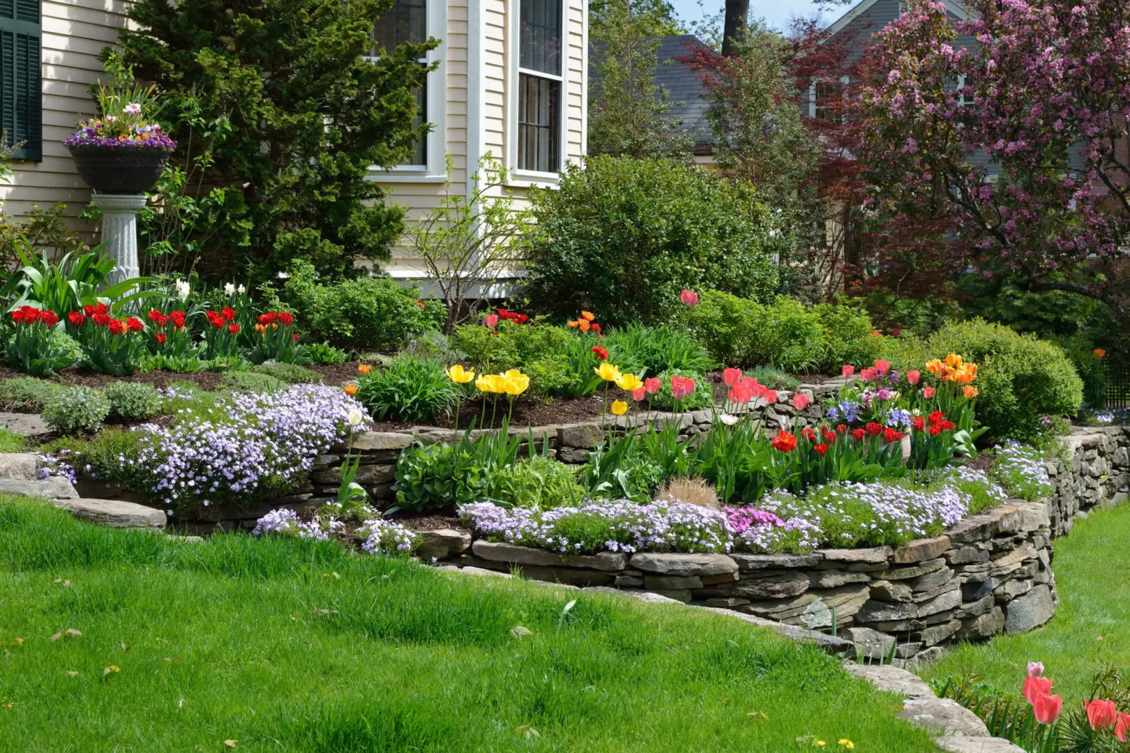 A vibrant garden blooms with red, yellow, and orange tulips on tiered stone planters, surrounded by lush greenery in front of a house with light siding.