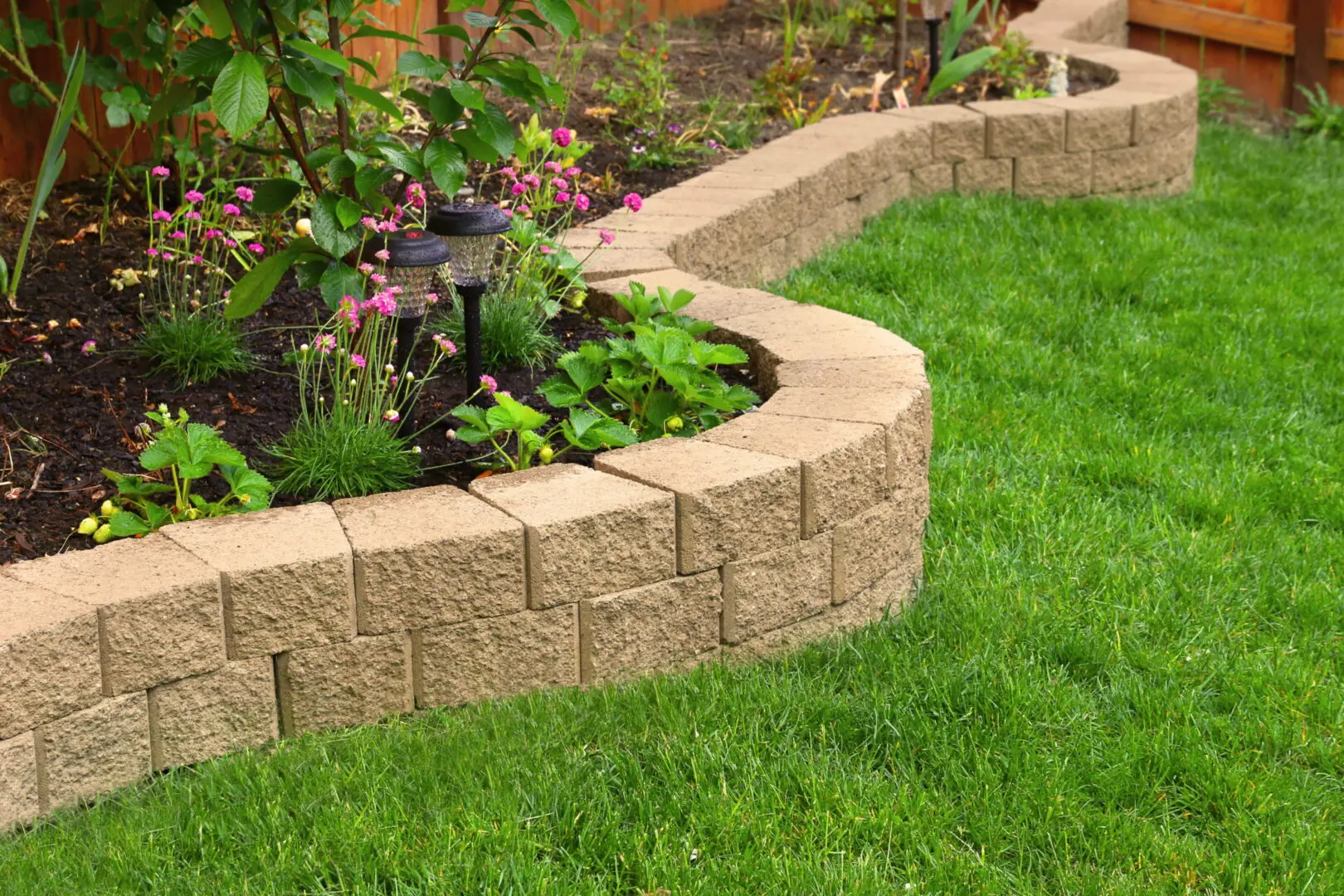 Curved stone wall borders flower bed with pink blooms and greenery, surrounded by lush, green grass. Solar garden lights add a cozy touch.